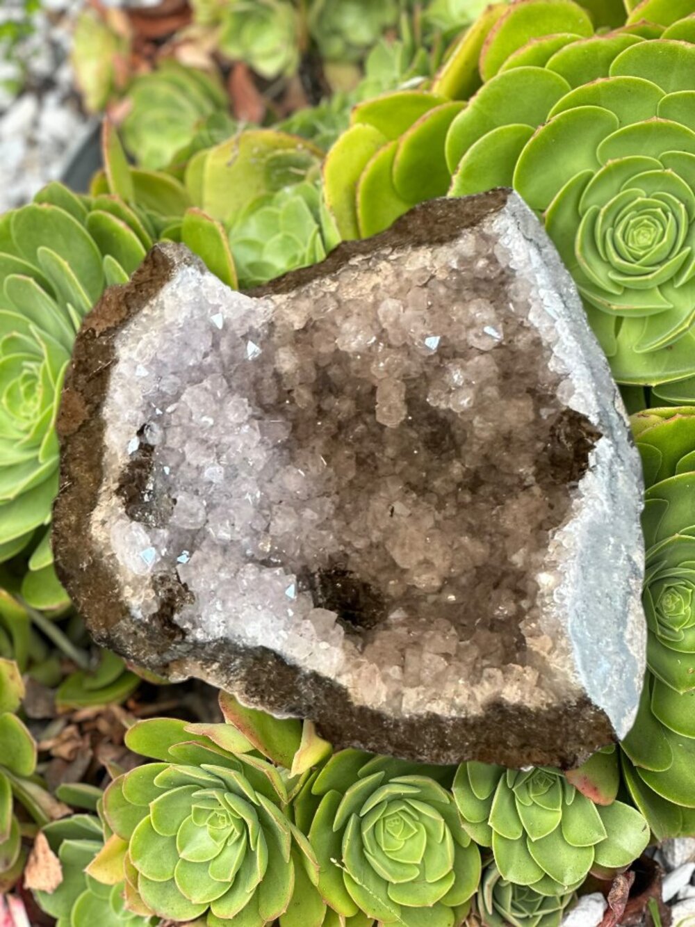 Geode Druzy